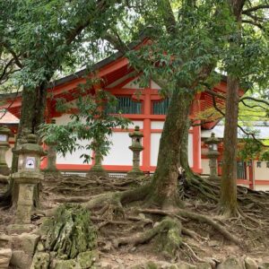 Mt Kurama Japan 1