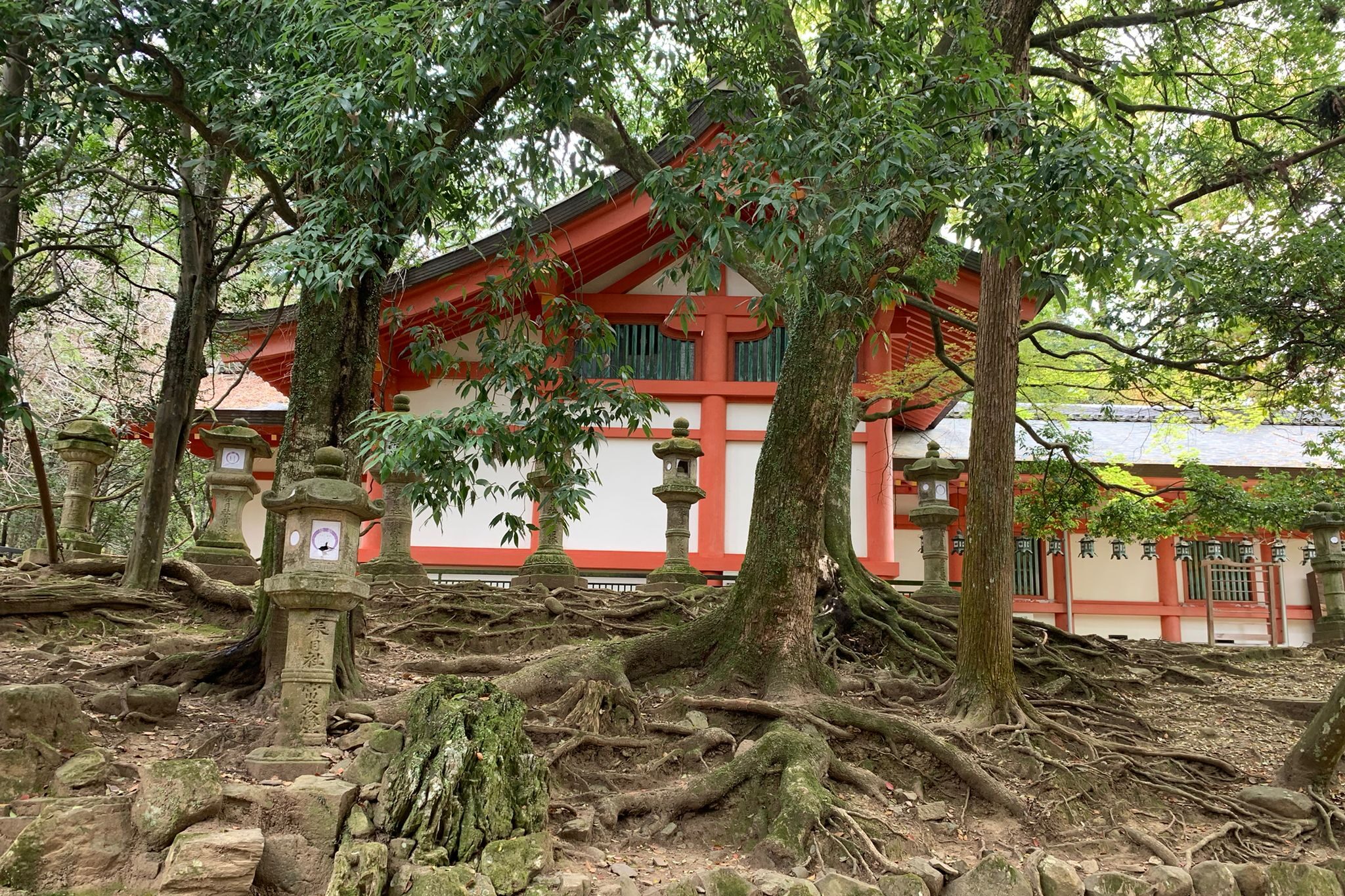 Mt Kurama Japan 1