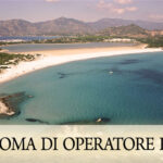 DIPLOMA PROFESSIONALE DI OPERATORE REIKI